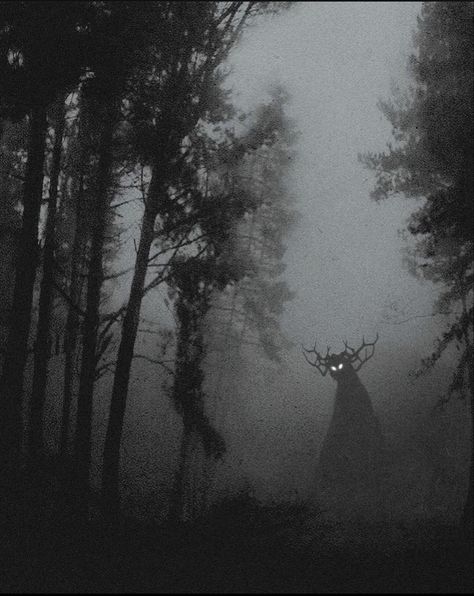 Dead Forest, Spooky Art, Haunted Forest, And So It Begins, Nature Spirits, Forest Spirit, Goth Aesthetic, Great Week, Norse Mythology