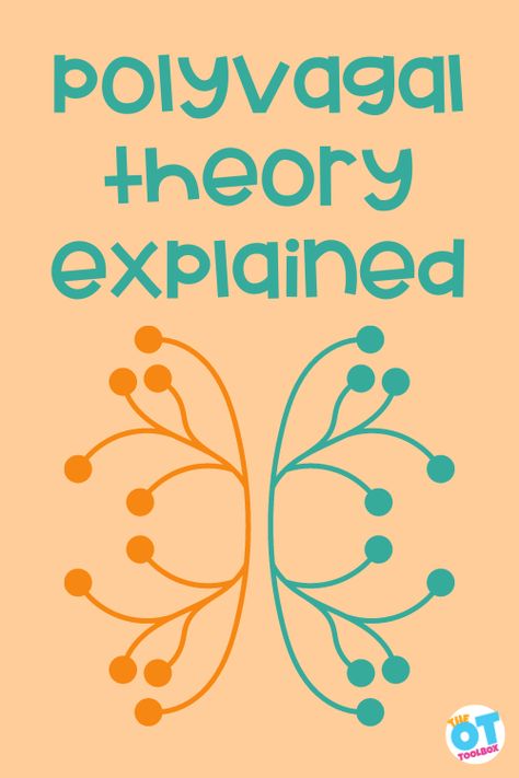 What is Polyvagal Theory? - The OT Toolbox Polyvagal Theory Worksheets, Polyvagal Theory Exercises, Nervous System Diagram, Freeze Response, Nervous System Anatomy, Theory Quotes, Polyvagal Theory, Counseling Worksheets, Autonomic Nervous System