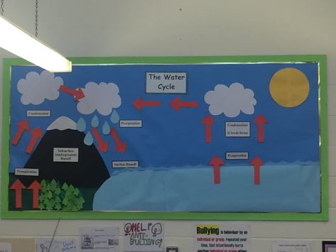 Science and Investigation Water Cycle Classroom Display, Water Cycle Display, Water Cycle Poster Project For Kids, Water Cycle Bulletin Board, Water Cycle Project Poster, Science Classroom Posters, Water Cycle Craft, Water Cycle Poster, Year 4 Classroom