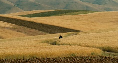 The Wind Will Carry Us, Cinema Painting, Iranian Cinema, Like Someone In Love, Abbas Kiarostami, Utopia Dystopia, Film Frame, Cinema Quotes, Walter Mitty