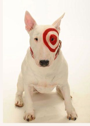 Bullseye, Target’s doggie mascot, will be on hand at the New York Stock Exchange on July 20, 1020 to celebrate Target opening its first store in Manhattan. Description from thedogfiles.com. I searched for this on bing.com/images Pitbull Bull Terrier, Target Dog, Most Cutest Dog, Dog Makeup, Mini Bull Terriers, Dog Mascot, Dog With A Blog, New York Stock Exchange, Famous Dogs