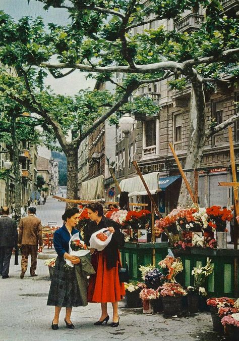 Vintage Italy Aesthetic, Old Italian Aesthetic, National Geographic Archives, Vintage National Geographic, National Geographic Photography, Trieste Italy, Flower Displays, Italian Aesthetic, National Geographic Magazine