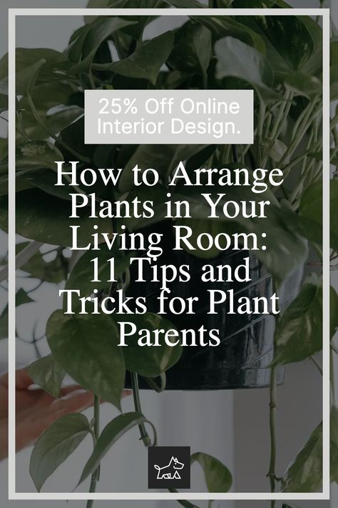 Want to add some life to your living room? One way to do this is by adding plants. Plants can add life and color to any space, and they can also improve air quality. But how do you know how to arrange plants in your living room so that they look their best? Additionally, research shows that plants can positively affect mental health. So not only will your living room look great with some plants, but you may also find yourself feeling happier and more relaxed. Where To Place Plants In Your Home, Decorating Living Room With Plants, How To Arrange Plants In Living Room, Living Room Furniture With Fireplace, Furniture With Fireplace, Beige Sofa Decor, How To Arrange Living Room, Arrange Living Room Furniture, Minimal Lounge