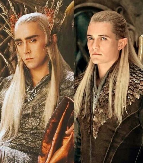 Father and Son. I think Lee Pace was a great choice for Thranduil because he and Orlando really do look like they could be related! Lee Pace Thranduil, Legolas And Thranduil, The Hobbit Movies, Into The West, Desolation Of Smaug, Heroic Fantasy, Tauriel, Fellowship Of The Ring, Lee Pace