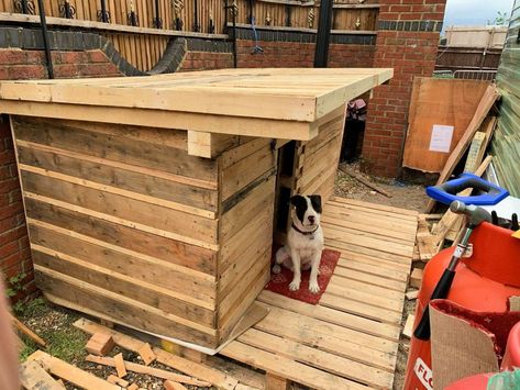 40 Free DIY Pallet Dog House Plans and Ideas Diy Dog House With Porch, Diy Pallet Dog Kennel, Dog House Out Of Pallets, Pallet Dog Kennel, Diy Pallet Dog House, Outdoor Dog Kennel Ideas, Dog House Diy Plans, Dog House Diy Outdoor, Dog Kennel Ideas