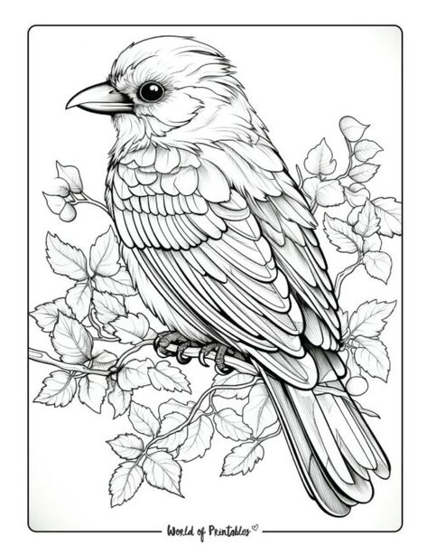 Manga Coloring Book, Heart Coloring Pages, Bird Coloring Pages, Online Coloring Pages, Fantasy Dragon, Animal Coloring Pages, Free Coloring Pages, Printable Coloring Pages, 그림 그리기