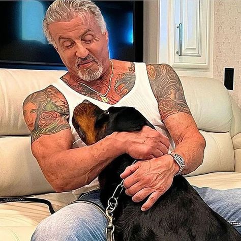 Sylvester Stallone Young, Sylvester Stallone Now, Sylvester Stallone Wife, Cover Up Tattoos Before And After, جيسون ستاثام, Gentleman Movie, Jennifer Flavin, Happy 25th Anniversary, Up Tattoo