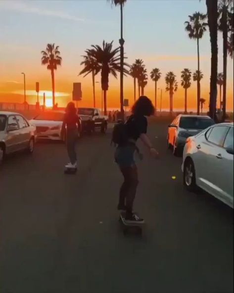 Venice California, Palm Trees, Venice, Skateboard, Trees, California, Cars