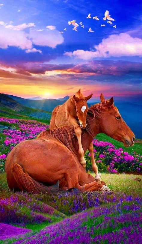 Horse Background, Beautiful Horse Pictures, Horse Artwork, Horse Wallpaper, Baby Horses, Horse Drawings, Cute Horses, Horse Life, Pretty Horses