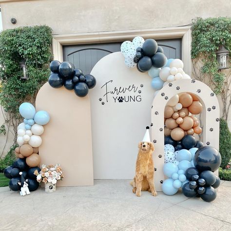 Beige theme Baby Shower Chiara Backdrop Dog Paw Prints Arch Open Wall Background Cover Elastic Shower Open, Chiara Backdrop, Beige Theme, Paw Party, Backdrop Arch, Dog Paw Prints, Open Wall, Theme Birthday Party, Birthday Party Decoration