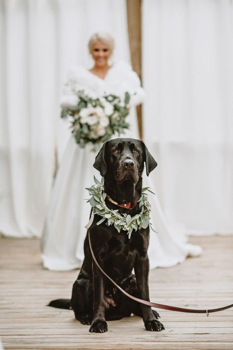 Bride's Decision To Bring Her Dog To Her 'First Look' Photoshoot Makes The Pics Go Viral Alabama Weddings, Wedding Pets, Dog Wedding, Wedding Rehearsal, Groom And Groomsmen, Wedding Pics, Wedding Poses, Wedding Wire, Wedding Pictures