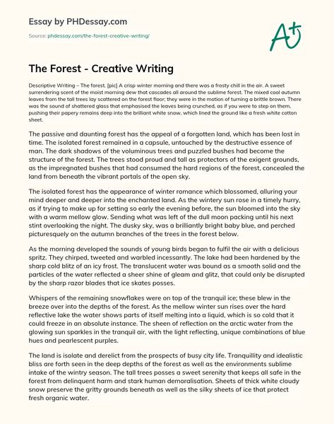 Story Writing Examples, Article Essay Example, Describing Forest Writing, Forest Descriptive Writing, Feature Writing Example, Article Writing Example, Gcse Creative Writing Example, Descriptive Writing Examples, Descriptive Essay Example