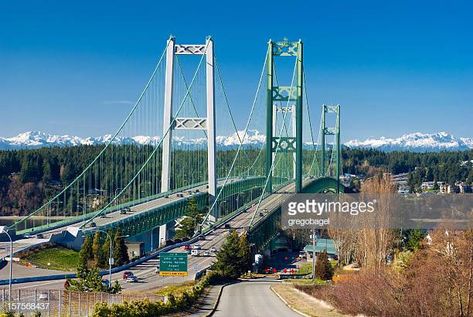 Tacoma Narrows Bridge in Washington state Mackinac Bridge Drawing, High Steel Bridge Washington, Vancouver Bridge, Tacoma Narrows Bridge, Washington State History, Dawson Creek, High Trestle Trail Bridge Iowa, Where To Live, Creek Bridge