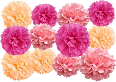 Flowers For Birthday, Pink Birthday Party Decorations, Vintage Table Decorations, Tissue Paper Decorations, Paper Flower Ball, Graduation Photo Booth, Tissue Flowers, Pink Birthday Party, Tissue Paper Pom Poms