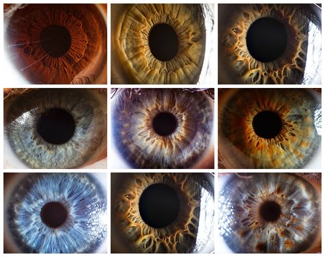 Typology - Iris', Eye (Suren Manvelyan Photography) Eye Colours, Iris Eye, Anime Eye Makeup, Disney Princess Quotes, Islam Beliefs, Sky Photography Nature, رعب نفسي, Photography Series, Quran Quotes Love