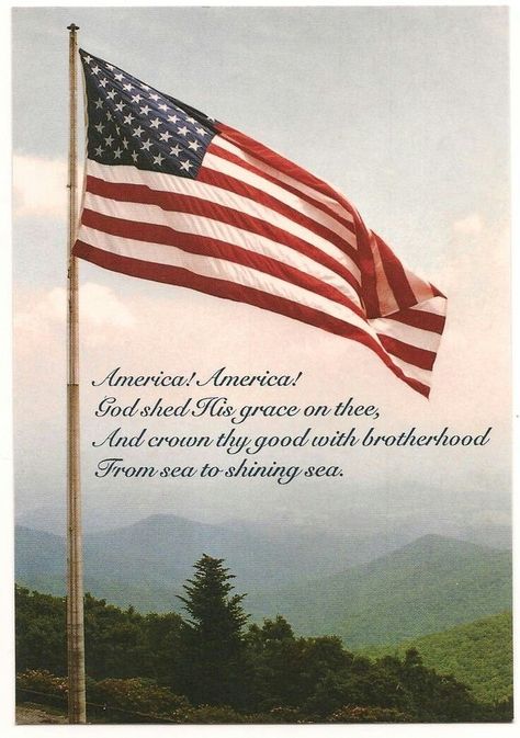 America! America! God shed His grace on thee! Patriotic Pictures, Politically Correct, Independance Day, Military Quotes, Photography New York, True American, I Love America, Holiday Images, Sea To Shining Sea