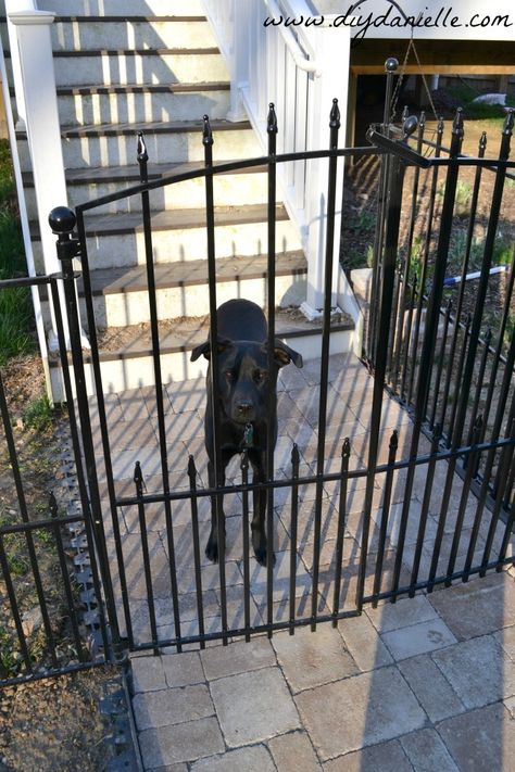 How to Install an Easy No-Dig Fenced Dog Run in One Day Dog Run Fence, Diy Dog Run, Fence Gates, Easy Fence, Dog Run, Black Fence, Natural Fence, Fencing Ideas, Horizontal Fence