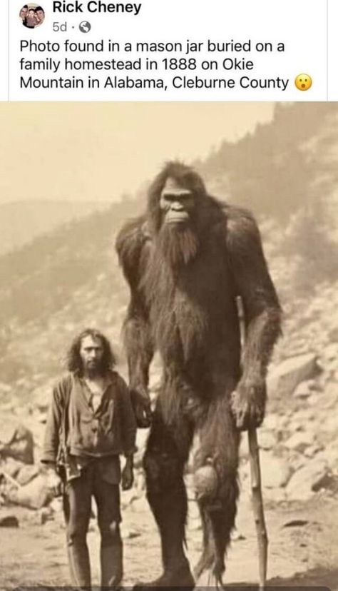 Real Bigfoot Pictures, Weird Old Photos, Real Bigfoot, Bigfoot Stories, Bigfoot Pictures, Gym Fails, Giant People, Bigfoot Art, Bigfoot Sightings