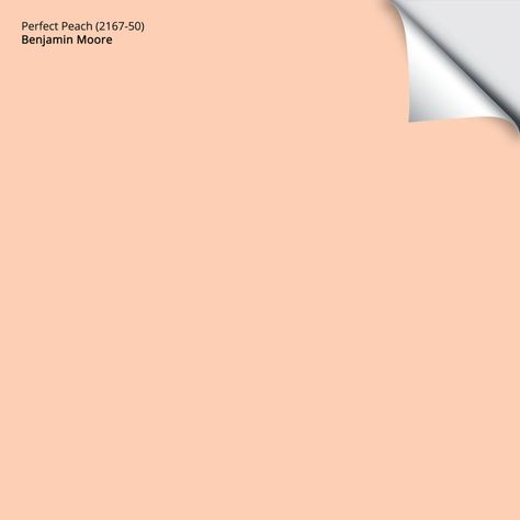 Benjamin Moore Perfect Peach (2167-50) – Samplize French Country Paint Colors, Benjamin Moore Pink, Country Paint Colors, Brighton Rock, Peach Paint, Perfect Peach, Paint Sample, Orange Creamsicle, Pink Paint