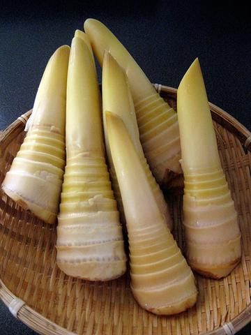 Preparing Bamboo Shoot – TOIRO Bamboo Species, Bamboo Shoot, Bamboo Chopping Board, Home Grown Vegetables, Bamboo Shoots, Food Spot, Root Vegetables, Permaculture, Healthy Choices