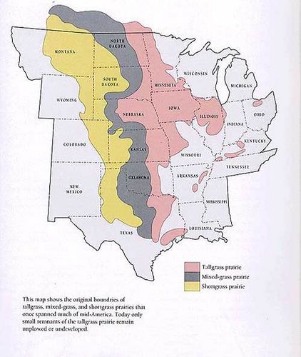 Distribution of Shortgrass Prairie Modern Map, Historical Place, American West, Historical Maps, Geography, World Map, North American, North America, Map