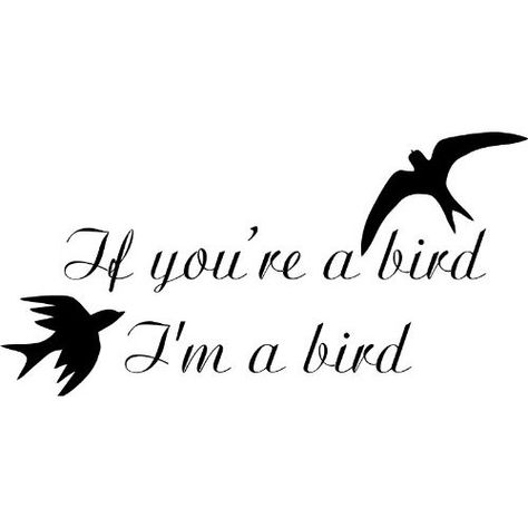 If you're a bird, I'm a bird A Bird Tattoo, Love Birds Quotes, Feather With Birds Tattoo, Fly Drawing, Bird Painting Acrylic, Black Bird Tattoo, Small Bird Tattoo, Bird Quotes, Notebook Ideas