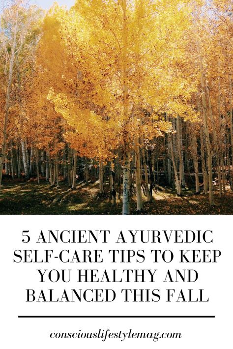 Fall Ayurveda Recipes, Fall Ayurveda, Autumn Wellness, Ayurvedic Lifestyle, Ayurveda Vata, Kapha Dosha, Archangel Jophiel, Ayurveda Recipes, Ayurvedic Therapy