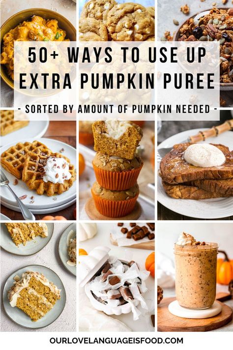 9 image collage showing recipes with pumpkin puree. Pumpkin Puree Coffee Recipe, Leftover Canned Pumpkin Recipes, Pumpkin Puree Ideas, Recipes With Pumpkin Puree Healthy, Things To Do With Pumpkin Puree, What Can I Make With Pumpkin Puree, Recipes For Pumpkin Puree, Fresh Pumpkin Puree Recipes, Leftover Pumpkin Puree Recipes