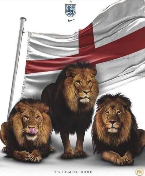 British Army Humour, England Flag Wallpaper, England Three Lions, Lfc Wallpaper, English National Team, England Lions, Angel Statues Sculpture, Millwall Fc, 3 Lions