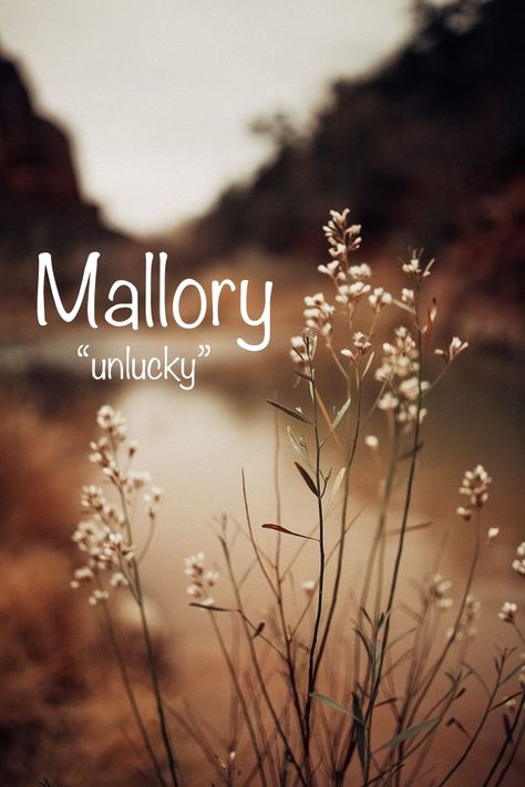 Mallory Name, Oc Names, Random Sayings, Girls Names, Best Character Names, Beautiful Names, Rare Words, Story Board, Book Names