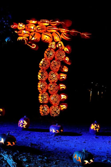 The Great Jack O'Lantern Blaze - Connecticut in Style Creative Pumpkin Carving Ideas, Creative Pumpkin Carving, Pumpkin Carving Ideas, Hudson Ny, Ideas For Halloween, Carving Ideas, Halloween Event, Jack O, Buy Tickets