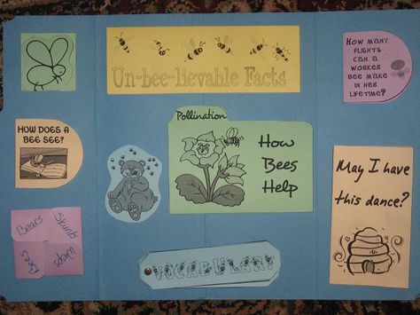 Free Honey Bee Unit Study Lessons and Lapbook Printables Bee Lapbook Free Printables, Bee Homeschool Unit, The Very Greedy Bee Activities, Life Cycle Of Honey Bee, Bee Inquiry Kindergarten, Farm Unit Study, Lap Book Templates, Farm Unit, My Father's World