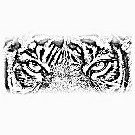 Tiger Eyes Tattoo Stencil, Tiger Eyes Tattoo Design, Gg Tattoo, Gates Of Heaven Tattoo, Tattoo Real, Tiger Eyes Tattoo, Tiger Face Tattoo, Tiger Head Tattoo, Heaven Tattoos