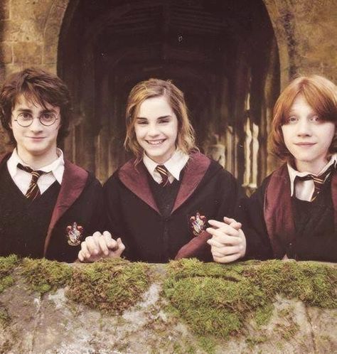 Harry Potter, Hermione Granger and Ron Weasley The golden trio The Golden Trio, After All This Time, Golden Trio, All This Time, Harry Potter 3, Mischief Managed, Harry Potter Fantastic Beasts, Harry Potter Stuff, Hermione Granger