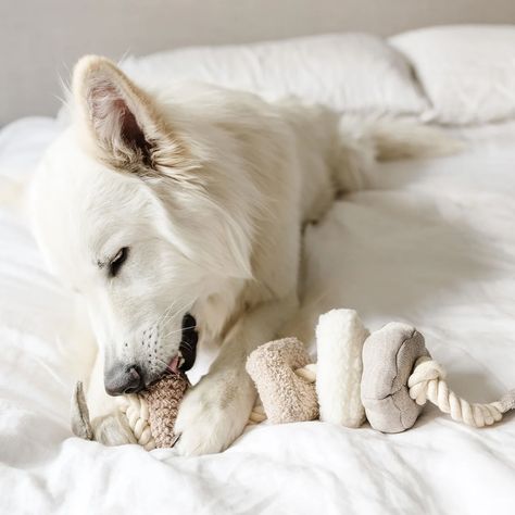 Just over 24 hours until our Lamb Wolf toy launch. Who is excited? I am so excited by all the newness we have coming over the next few months and cannot wait to share with you all. Our Autumn collection will also be launching very soon. Sneak peaks pending 🎃 Poop Bag Holder, Natural Home Decor, Childrens Toy, Beignets, Baby Soft, Dog Toys, A Love, Pet Toys, Donuts