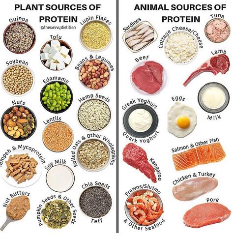 plant sources vs animal sources of protein Animal Protein Sources, Tuna Protein, Plant Protein Sources, Tofu Protein, Plant Based Protein Sources, Vegan Protein Sources, Meal Prep On Fleek, Tomato Nutrition, Quinoa Protein