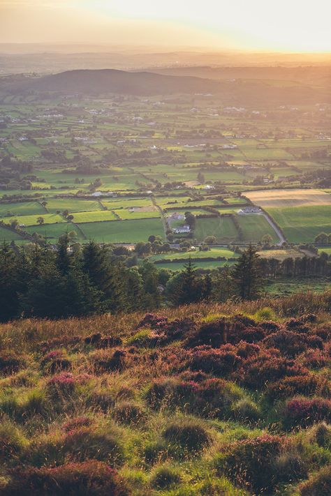 Ring of Gullion, County Armagh, Northern Ireland Newry Northern Ireland, Big Sketchbook, Giant's Causeway, Irish Eyes Are Smiling, Armagh, Northern Irish, Hiking Photography, Irish Eyes, Visit Ireland