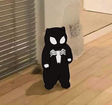 Spider Man Cat, Spider Man Venom, Cat Icon, Venom, Spiderman, Wall, Black