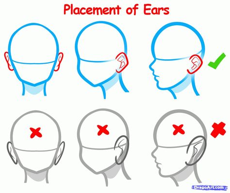 Ear placement. Anime Ears, How To Draw Ears, How To Draw Anime, Anime Head, Drawing Heads, Anime Tutorial, Body Drawing Tutorial, 얼굴 그리기, Draw Anime