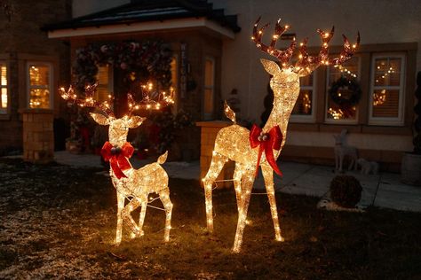 Christmas Reindeer Lights, Lit Up Xmas Rudolf Garden Lighting Large 6ft Stag Deer Pair Set of 2 Pre-Lit Garden Home Festive Ornament Decorative Deluxe Indoor Outdoor Luxury XL Reindeer Light Reindeer Outdoor Decorations, Fairy Garden Ornaments, Wooden Trellis, Outdoor Lantern Lighting, Solar String Lights Outdoor, Christmas Light Displays, Solar Fairy Lights, Reindeer Decorations, Copper Lighting