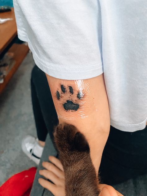 Cat Tattoo Paw Print, Pet Paw Print Tattoo Cats, Cat Print Tattoo Ideas, Paw Print Tattoo Placement Ideas, Cat Memorial Tattoo Paw, Paw Cat Tattoo, Cujo Tattoo, Cat Paw Print Tattoo Ideas, Cat Pawprint Tattoo