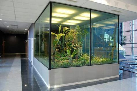 Butterfly aviary Butterfly Aviary, Large Terrarium, Aquarium Terrarium, Reptile Room, Planted Tank, Terraria, Minimalist Contemporary, Animal Habitats, Vivarium