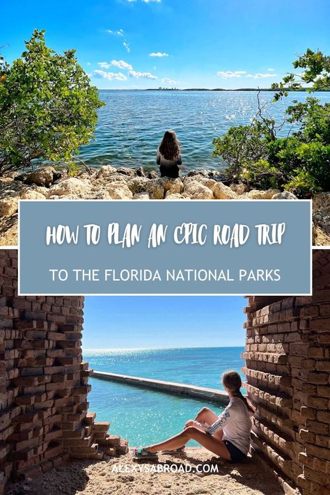 Florida National Parks Road Trip, Florida National Parks Itinerary, Florida National Parks, Florida Keys Road Trip, National Parks Road Trip, Best Beach In Florida, Biscayne National Park, Florida Travel Guide, Dry Tortugas National Park