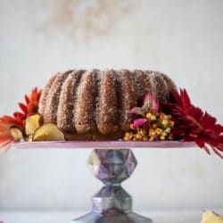 Apple Cider Doughnut Cake, Apple Cider Donut Cake, Cider Donut Cake, Apple Cider Doughnut, Autumn Desserts, Big Donuts, Breakfast Cakes, Cake Apple, Comfort Recipes