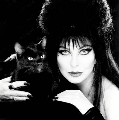 70s Horror, Elvira Movies, Queen Of Halloween, Ed Wood, Cassandra Peterson, Elvira Mistress Of The Dark, Kei Visual, Goth Subculture, The Munsters