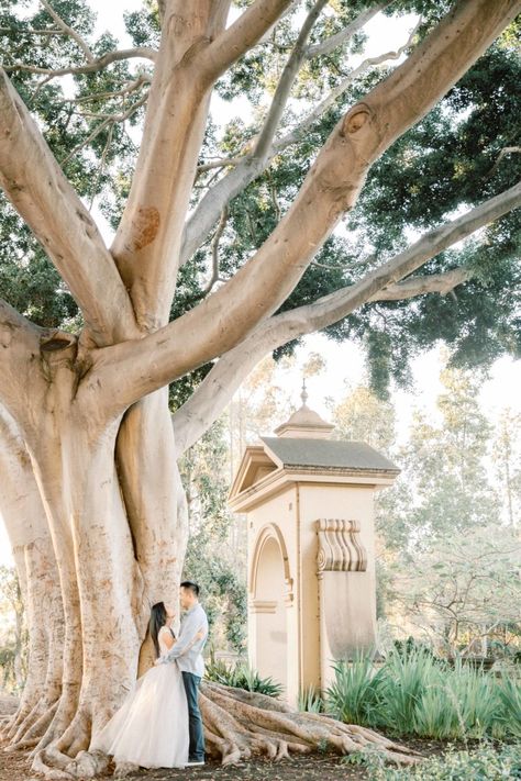 Balboa Park Engagement Photography Session in San Diego / Stacie and Victor - Babsie Ly Photography | Fine Art Destination Wedding Photographer Engagament Photos, Balboa Park Wedding, Riverside Weddings, Balboa Park San Diego, Couple Engagement Pictures, Malibu Wedding, San Diego Photography, Destination Wedding Inspiration, Park Photography