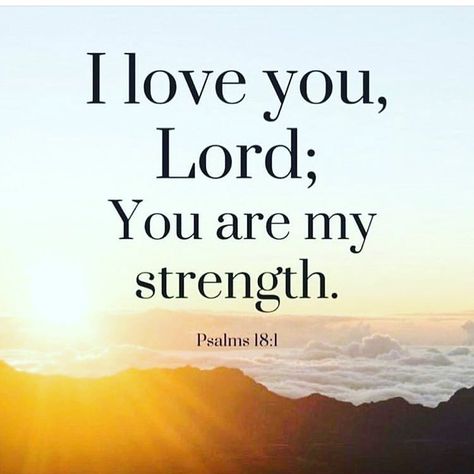 Psalms 18:1 I love you,Lord, my strength. Bible Strength, Prayer Blanket, I Love You Lord, My Strength, Bible Quote, Inspirational Bible Quotes, Christian Encouragement, God Prayer, Favorite Bible Verses