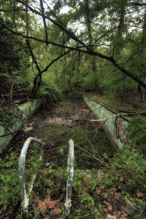 Abandoned pool in forest [1000x667] - Imgur Pool In Forest, Abandoned Pool, Creepy Places, Urban Exploring, Forgotten Places, Abandoned Amusement Parks, Abandoned Mansions, Chernobyl, Haunted Places