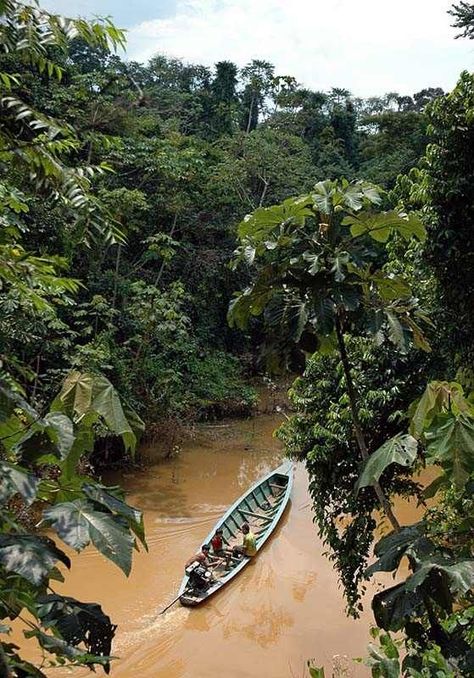 Amazon River Photography, The Amazon River, Amazon River Aesthetic, Amazon Forest Aesthetic, Peru Amazon Rainforest, Brazil Amazon Rainforest, Jungle Video, Rainforest Deforestation, Amazon Brazil