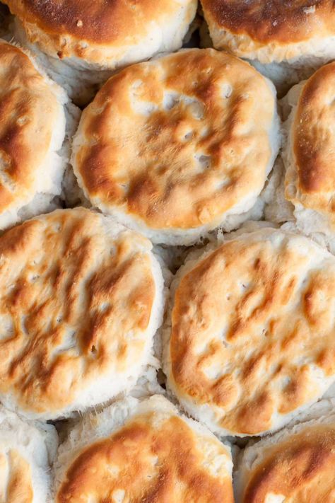 Pioneer Woman 7-up Biscuits - Table for Seven Light And Fluffy Biscuits, 7 Up Biscuits Recipe, 7 Up Biscuits, Sour Milk Recipes, 7up Biscuits, Recipes Using Cooked Chicken, Beer Biscuits, Buttermilk Biscuits Easy, Best Biscuit Recipe